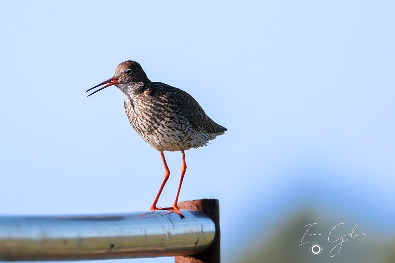 11 juni 2022 192926 1DX46920